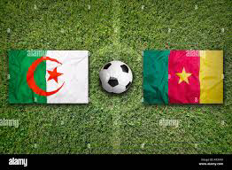 صورة مباراة الجزائر والكاميرون اليوم 25/3/2022 تصفيات كاس العالم