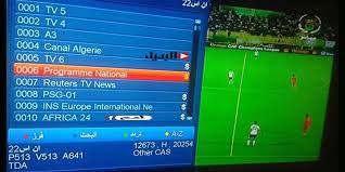 صورة مشاهدة قناة الجزائرية الارضية ياسين تيفي بث مباشر : مشاهدة مباريات كاس افريقيا 2024